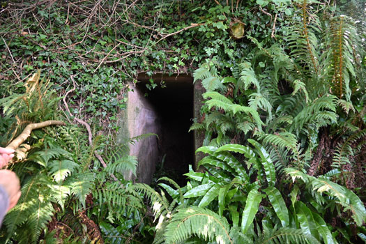 Wn28 
  Quettehou ville +
Quettehou Allée de L'Église Batterie