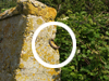 Screw picket used to strengthens the concrete and also a camouflage net can be attached to the hook.