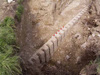 Plate 10: Wessex Archaeology the foundations of the R611.