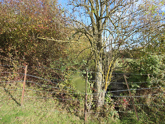 Führerhauptquartier ´Wolfsschlucht 2´ Flakstellung ´C´