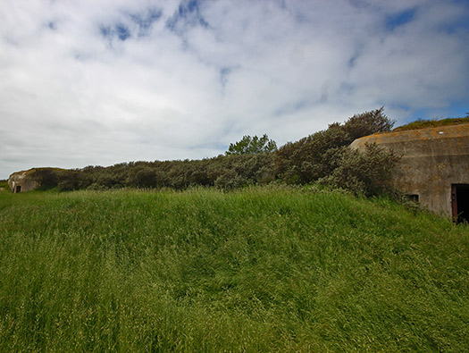 Wn 'Rosamunde'