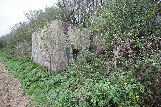 StP Ruine, Mont de Neufchâtel.