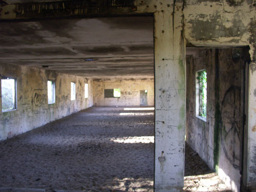 Ro425 ´Kora´, Ro429 'Korola', Ro424 'Käthe', Ile de Ré