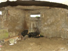 Inside a Pilz.