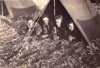 Pup tents.