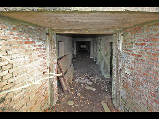Wn349 Auderville la Roche, Luftwaffe station "Ammer".