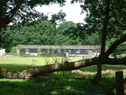 RAF Hurn, USAAF AAF 492
