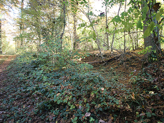 Führerhauptquartier‘Wolfsschlucht 2’ Flakstellung ‘16’