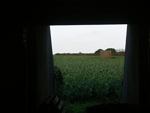 RAF Trerew, Cornwall. Chain Home Radar Station No.18.