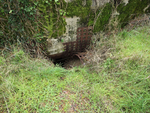 Gi09 Bon Anse 'Cosel' (North site)