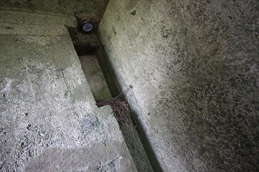 StP Ruin, Mont de Neufchâtel, Pas-De-Calais. PART 2