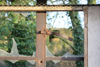 One of the Crittall windows.
