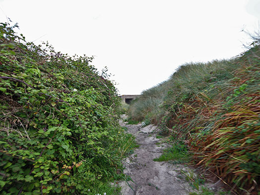 Alderney, M2 Wn 'Hafen'