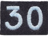 All 30 AU used in Jubilee were either captured or killed I believe.
