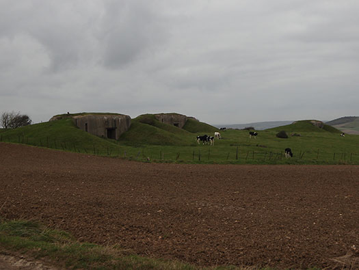 StP Ruine, Mont de Neufchâtel.