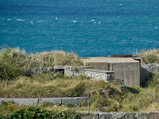 Alderney, M4 Wn 'Dohlenfest'