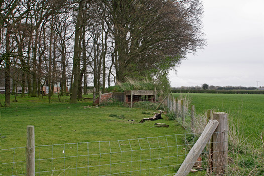 RAF Tholthorpe.