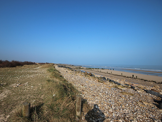 Wn35 Ver-sur-Mer, le Marais