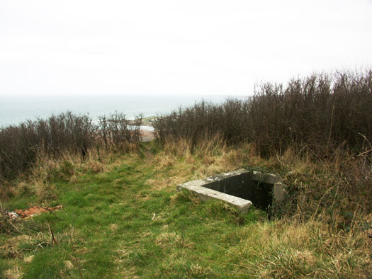 Wn241 Le Fort de Digosville (Fort des Roches)