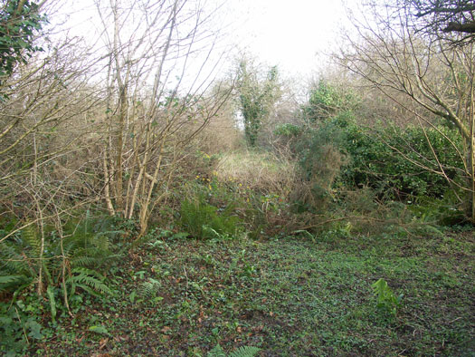 Wn137 Quineville le poteau 'Ginsterhöhe.'