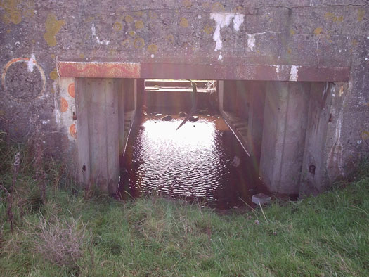 Wn25 Morsalines la Redoute