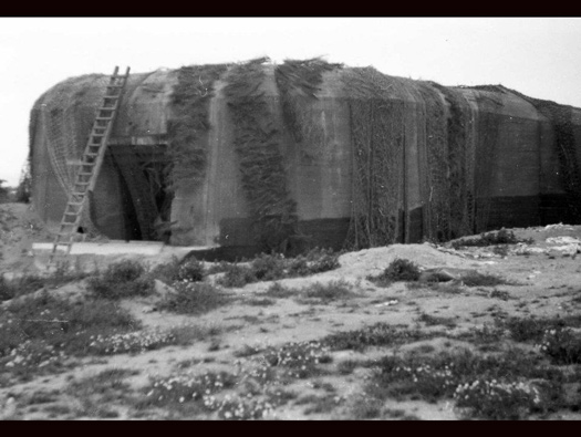 Battery Judee 'Ostmark',