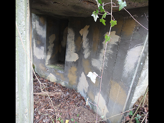 Führerhauptquartier ‘Wolfsschlucht 2’ Flakstellung ‘7’