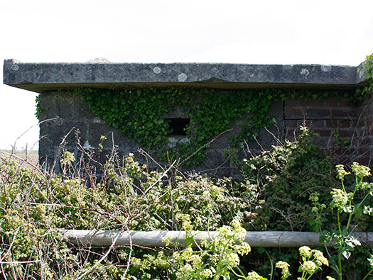 RAF Bolt Head