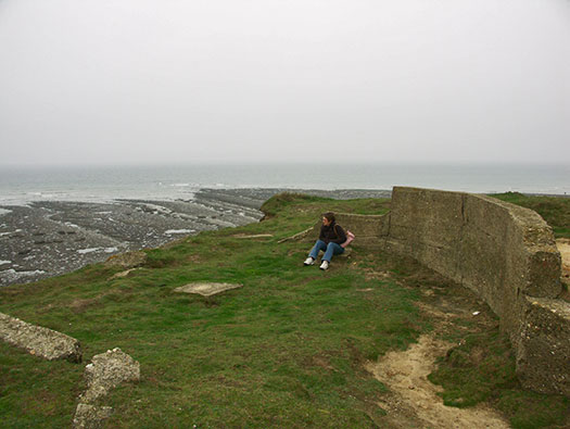 StP207 Fischreiher