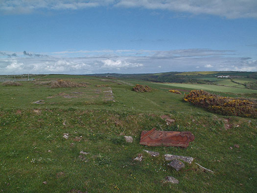 RAF Cleave
