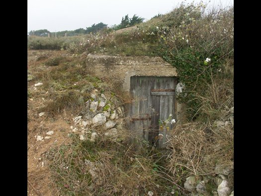 Ro414 La Noue ´Fanny´, K.V.G Süd Ile de Ré