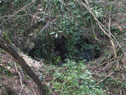 Spetisbury Auxiliary Hide Patrol Base