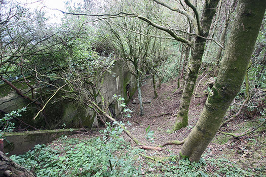 StP Ruin, Mont de Neufchâtel, Pas-De-Calais. PART 2