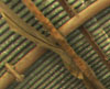 Romney, pipes and wooden stringers covered in Corrugated iron sheets..