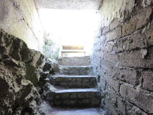 Alderney W 1 StP 'Türkenburg', Victorian Magazine