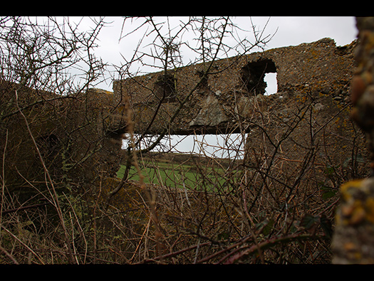 StP356 Auderville Laye H.K.B. “Flak”