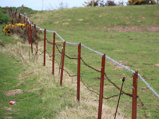 StP026 Batterie West Ecqueville
