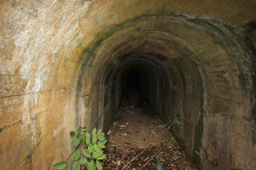 StP Ruine, Mont de Neufchâtel.