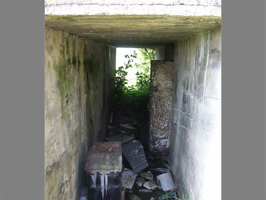 Wn99 Brévands le Châlet
