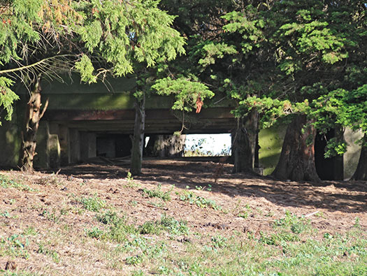 Wn92 Géfosse-Fontenay, Wigwam