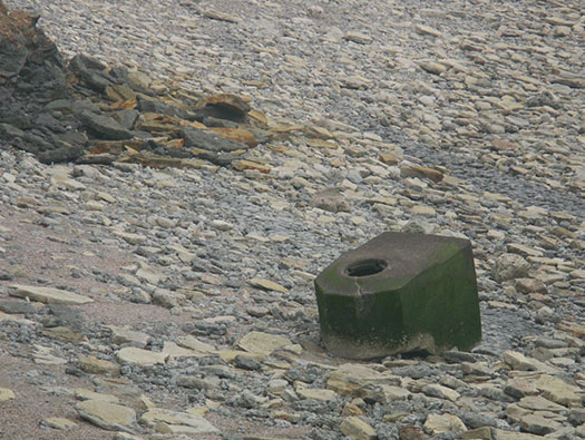 StP207 Fischreiher