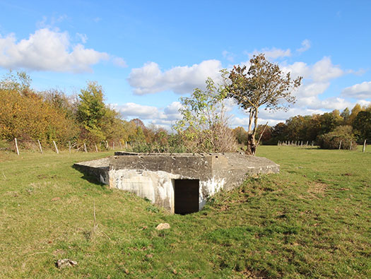 Führerhauptquartier ´Wolfsschlucht 2´ Flakstellung ´C´