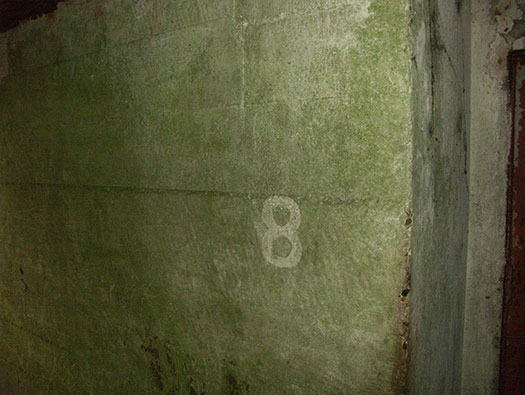 Die010 Mont Robin
