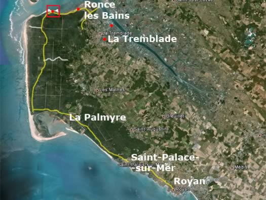 Gi03 'Holland' Point du Galon d'Or