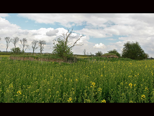 RAF Hinton-in-the-Hedges