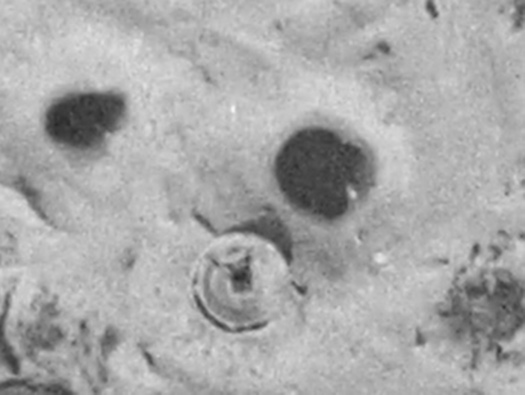 One of the open ringstands and two very large bomb craters just to the front of this Vf2a shelter.