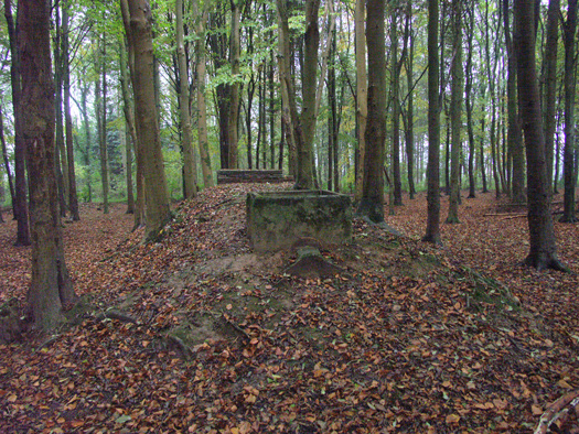 RAF Zeals