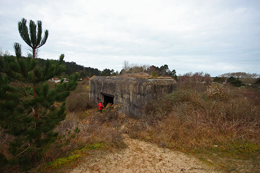 Merlimont Batterie