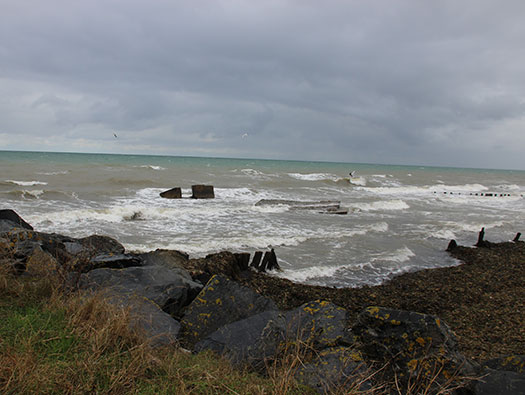 Wn36 Asnelles - Roseau Plage