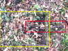 Yellow - the man hole.
    Red ----- a cable.